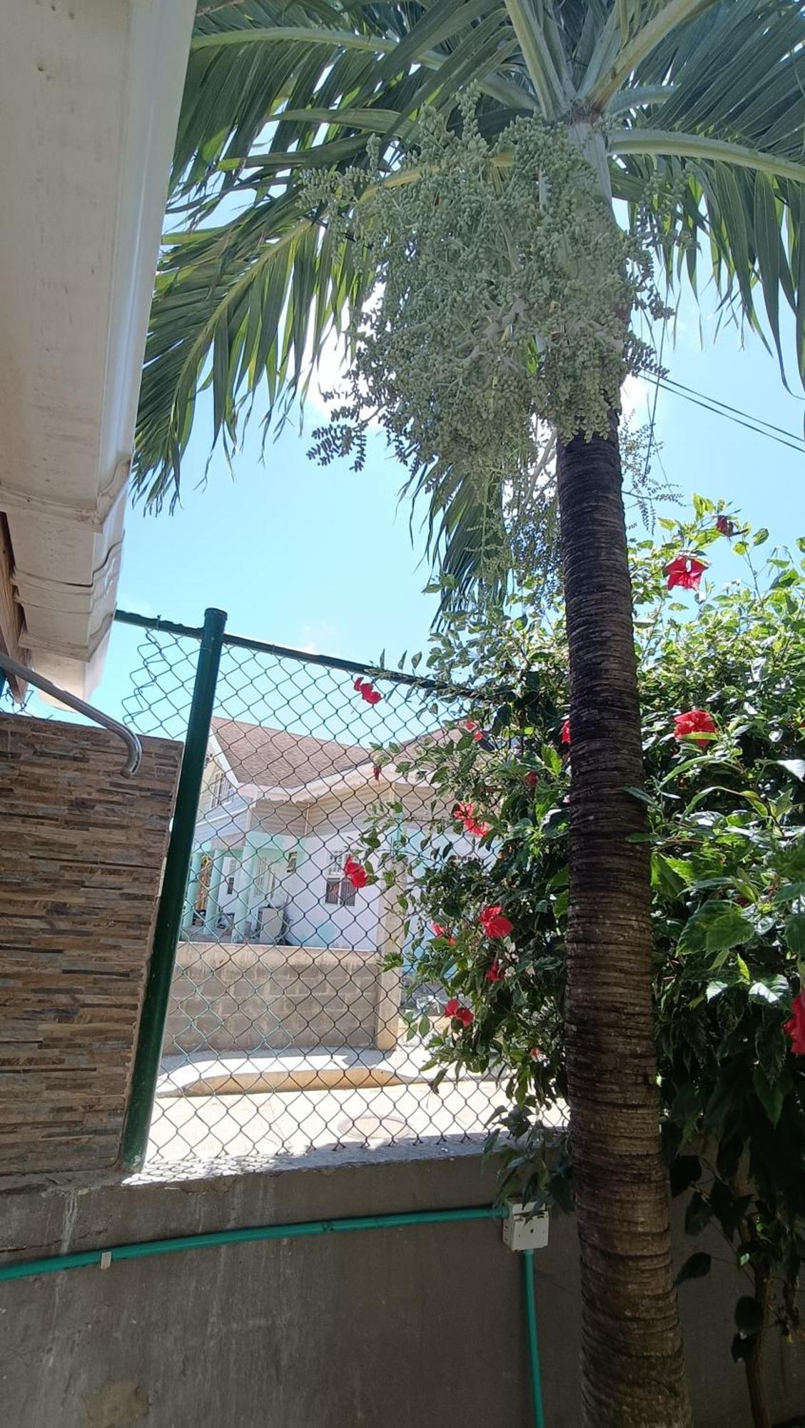 Jackuri Casa Hospedaje San Andrés Екстериор снимка